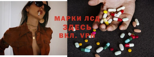 ГАЛЛЮЦИНОГЕННЫЕ ГРИБЫ Алзамай