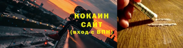 ешки Алексин
