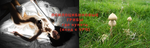 ГАЛЛЮЦИНОГЕННЫЕ ГРИБЫ Алзамай