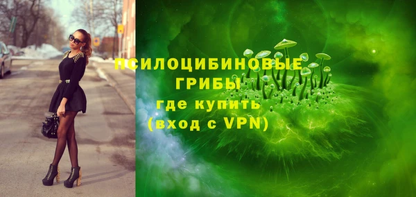 ешки Алексин