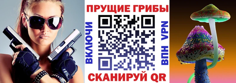 где купить наркоту Сураж Галлюциногенные грибы Psilocybe